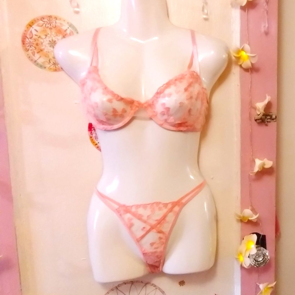 Baby Pink (M) Sheer and Strappy Embroidered Hearts Lingerie Set - NWOT